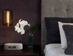 Harman Kardon Citation Oasis FM szary