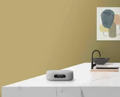 Harman Kardon Citation Oasis FM szary