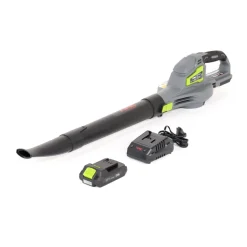 NAC DMUCHAWA AKUMULATOROWA 20V 1x2Ah