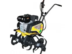 TEXAS LILLI 534 TG (TXG534TG)