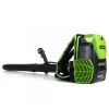 60V Dmuchawa plecakowa GD60BPB