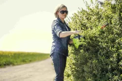 60V nożyce do żywopłotu Greenworks GD60HT66