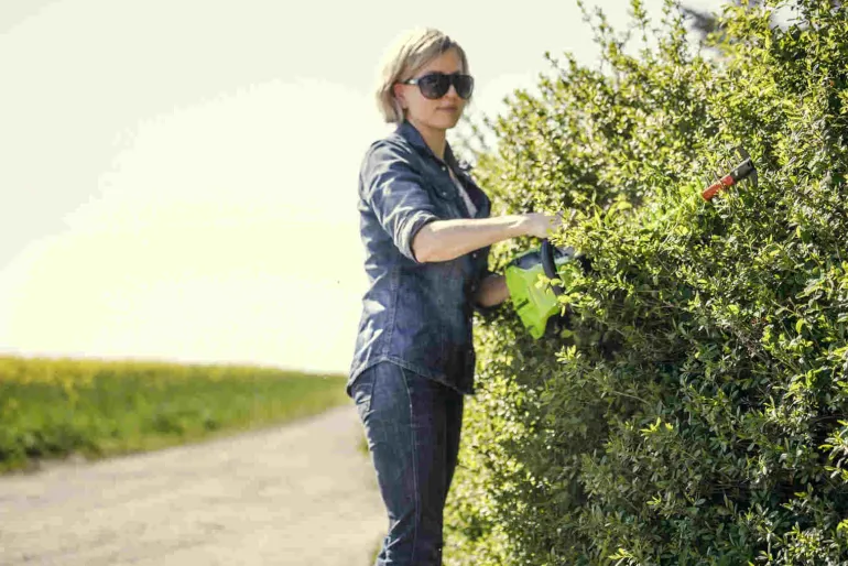 60V nożyce do żywopłotu Greenworks GD60HT66