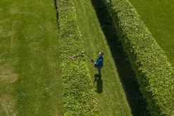 60V Nożyce do żywopłotu na wysięgniku 51cm GD60PHT51